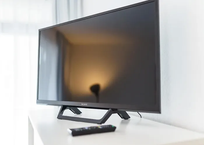 North East 샬베우츠